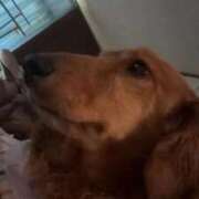 ヒメ日記 2025/10/10 19:46 投稿 まりさ 久留米デリヘルセンター