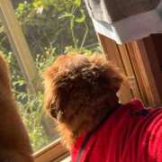 ヒメ日記 2025/10/28 03:06 投稿 まりさ 久留米デリヘルセンター