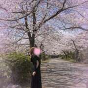 ヒメ日記 2026/04/03 15:07 投稿 ひなた One More奥様　厚木店