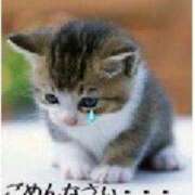 ヒメ日記 2025/03/15 09:23 投稿 さき 半熟ばなな　錦糸町