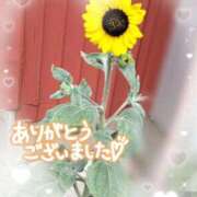 ヒメ日記 2025/07/13 19:53 投稿 さき 半熟ばなな　錦糸町