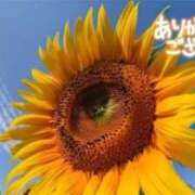 ヒメ日記 2025/08/19 20:03 投稿 さき 半熟ばなな　錦糸町