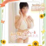 ヒメ日記 2025/08/23 09:43 投稿 さき 半熟ばなな　錦糸町