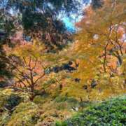 ヒメ日記 2024/12/14 14:02 投稿 ゆり One More奥様　立川店