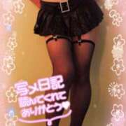 ヒメ日記 2026/04/09 10:01 投稿 まりな 池袋で熟女の風俗 マダムいやーん