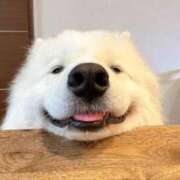 ヒメ日記 2025/12/24 17:04 投稿 ななみ 人妻美人館