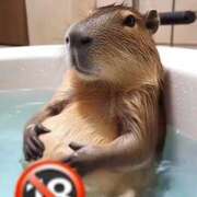 ヒメ日記 2026/01/08 13:03 投稿 ななみ 人妻美人館