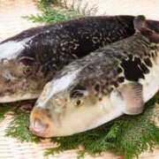 ななみ トリプルデートコース♡♡ 人妻美人館