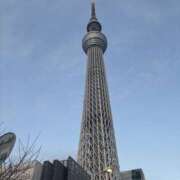 ヒメ日記 2025/06/12 20:00 投稿 さくら ぽちゃカワ女子専門店　藤沢湘南店