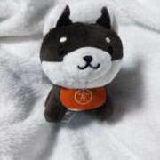 ヒメ日記 2025/07/23 21:37 投稿 さくら ぽちゃカワ女子専門店　藤沢湘南店