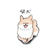 ヒメ日記 2025/08/26 21:20 投稿 さくら ぽちゃカワ女子専門店　藤沢湘南店