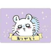 ヒメ日記 2026/03/01 23:30 投稿 さくら ぽちゃカワ女子専門店　藤沢湘南店