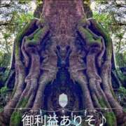 ヒメ日記 2025/01/28 10:21 投稿 なつみ モアグループ 土浦人妻花壇