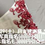 ヒメ日記 2025/03/29 12:48 投稿 なつみ モアグループ 土浦人妻花壇