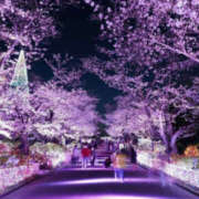 ヒメ日記 2025/03/30 21:57 投稿 なつみ モアグループ 土浦人妻花壇