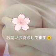 ヒメ日記 2025/04/18 11:57 投稿 なつみ モアグループ 土浦人妻花壇