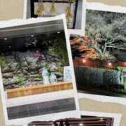 ヒメ日記 2025/11/27 13:12 投稿 なつみ モアグループ 土浦人妻花壇