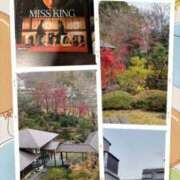 ヒメ日記 2025/11/28 11:03 投稿 なつみ モアグループ 土浦人妻花壇