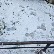 ヒメ日記 2026/02/10 05:54 投稿 いくみ 神戸3040（神戸サーティフォーティ）