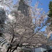 ヒメ日記 2025/04/12 11:28 投稿 ことね ニューヨークニューヨーク