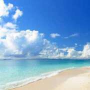 ヒメ日記 2025/08/23 12:19 投稿 ことね ニューヨークニューヨーク