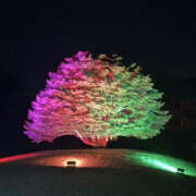 ヒメ日記 2025/01/05 11:38 投稿 じゅな バッドカンパニー水戸