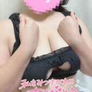 ヒメ日記 2025/04/13 13:57 投稿 しの 長崎佐世保ちゃんこ