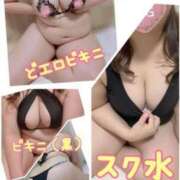 ヒメ日記 2025/06/30 12:17 投稿 しの 長崎佐世保ちゃんこ