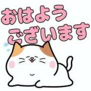 ヒメ日記 2025/01/17 10:03 投稿 くるみ 木更津人妻花壇