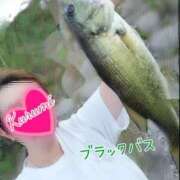 ヒメ日記 2025/09/06 10:04 投稿 くるみ 木更津人妻花壇