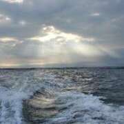 ヒメ日記 2025/09/16 16:13 投稿 くるみ 木更津人妻花壇