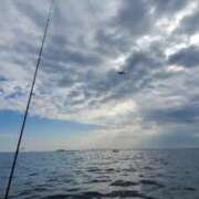 ヒメ日記 2025/09/29 15:41 投稿 くるみ 木更津人妻花壇