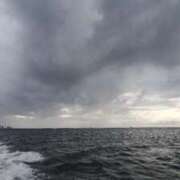 ヒメ日記 2025/10/12 09:06 投稿 くるみ 木更津人妻花壇