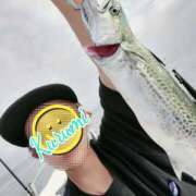 ヒメ日記 2025/10/12 12:06 投稿 くるみ 木更津人妻花壇