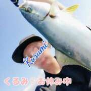 ヒメ日記 2026/01/18 10:11 投稿 くるみ 木更津人妻花壇