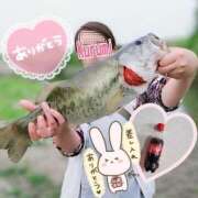 ヒメ日記 2026/01/28 14:00 投稿 くるみ 木更津人妻花壇