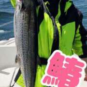 ヒメ日記 2026/05/08 21:40 投稿 くるみ 木更津人妻花壇