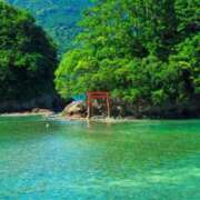 ヒメ日記 2025/03/20 00:41 投稿 華咲 桜 30代40代50代と遊ぶなら博多人妻専科24時