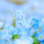 ヒメ日記 2025/04/06 13:24 投稿 華咲 桜 30代40代50代と遊ぶなら博多人妻専科24時