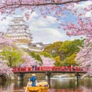 ヒメ日記 2025/04/10 01:14 投稿 華咲 桜 30代40代50代と遊ぶなら博多人妻専科24時