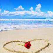 ヒメ日記 2025/06/01 11:45 投稿 華咲 桜 30代40代50代と遊ぶなら博多人妻専科24時