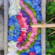 ヒメ日記 2025/06/07 00:57 投稿 華咲 桜 30代40代50代と遊ぶなら博多人妻専科24時