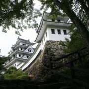 ヒメ日記 2025/06/18 00:28 投稿 華咲 桜 30代40代50代と遊ぶなら博多人妻専科24時