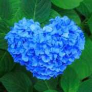 ヒメ日記 2025/06/21 00:08 投稿 華咲 桜 30代40代50代と遊ぶなら博多人妻専科24時