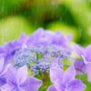 ヒメ日記 2025/09/04 00:59 投稿 華咲 桜 30代40代50代と遊ぶなら博多人妻専科24時