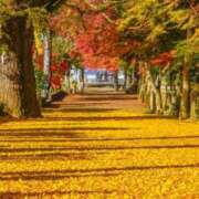 ヒメ日記 2025/10/09 00:45 投稿 華咲 桜 30代40代50代と遊ぶなら博多人妻専科24時