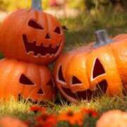 ヒメ日記 2025/10/16 01:43 投稿 華咲 桜 30代40代50代と遊ぶなら博多人妻専科24時