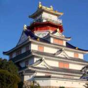 ヒメ日記 2025/11/08 02:21 投稿 華咲 桜 30代40代50代と遊ぶなら博多人妻専科24時