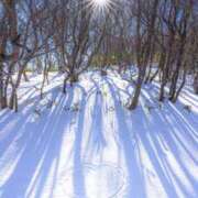 ヒメ日記 2025/12/28 01:06 投稿 華咲 桜 30代40代50代と遊ぶなら博多人妻専科24時