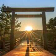 ヒメ日記 2026/01/01 23:11 投稿 華咲 桜 30代40代50代と遊ぶなら博多人妻専科24時